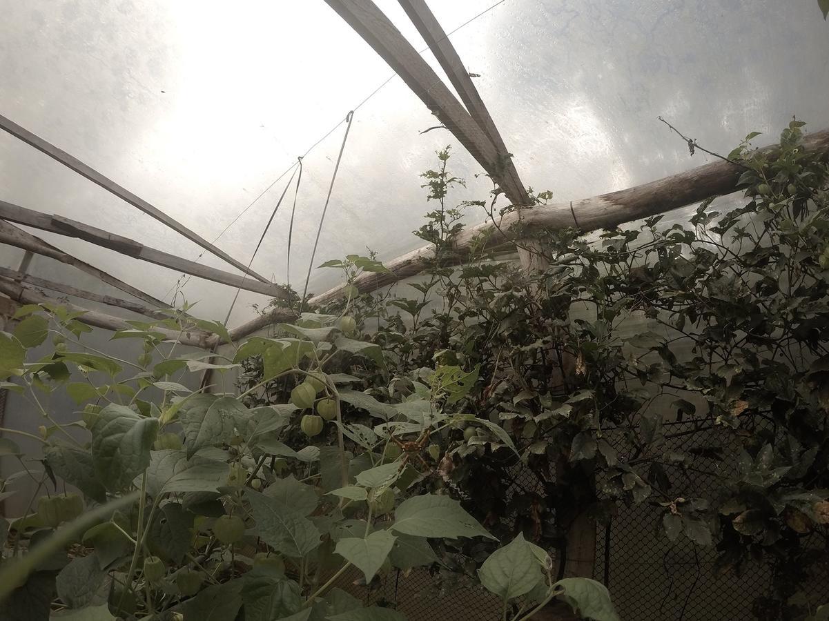 Yasi Yatere Reserva Agroecologica Ел Собербио Екстериор снимка